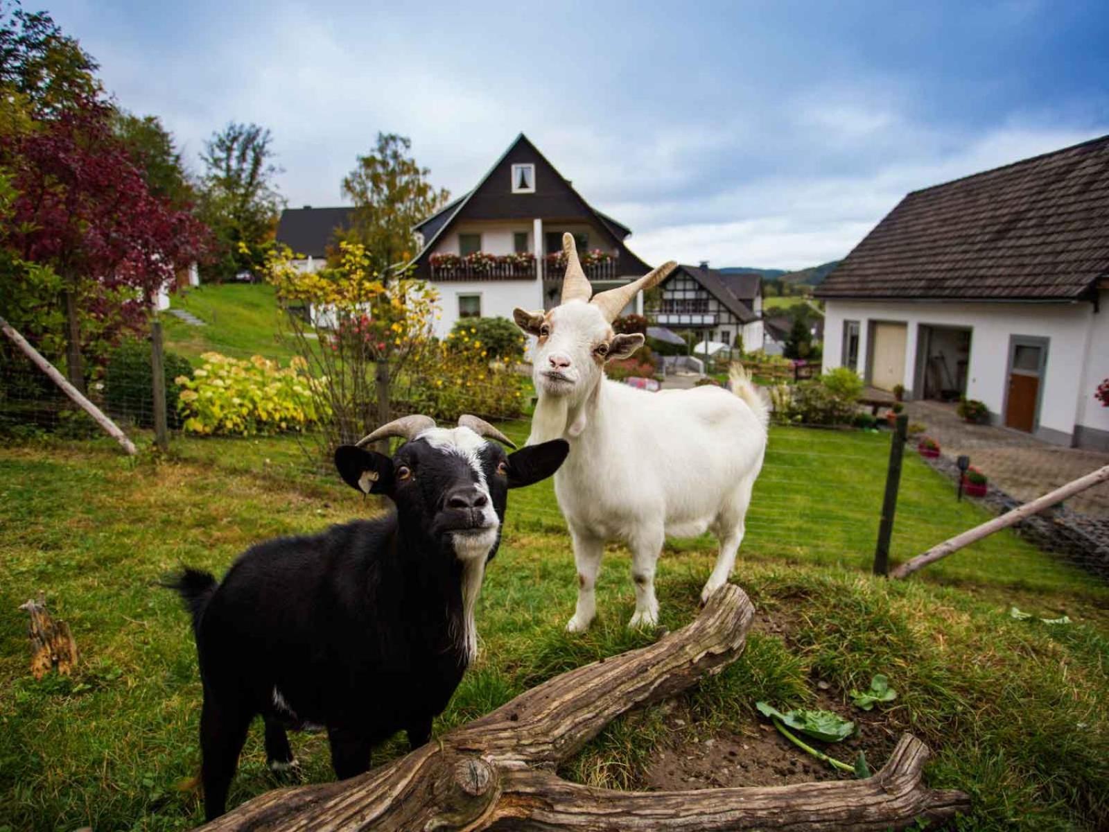 Kornkammer Schmallenberg Exterior foto